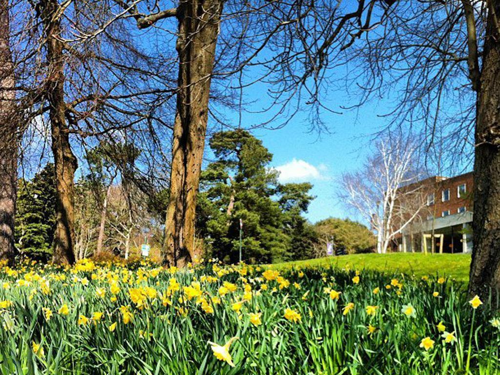University Of Exeter - Pennsylvania Court Zewnętrze zdjęcie