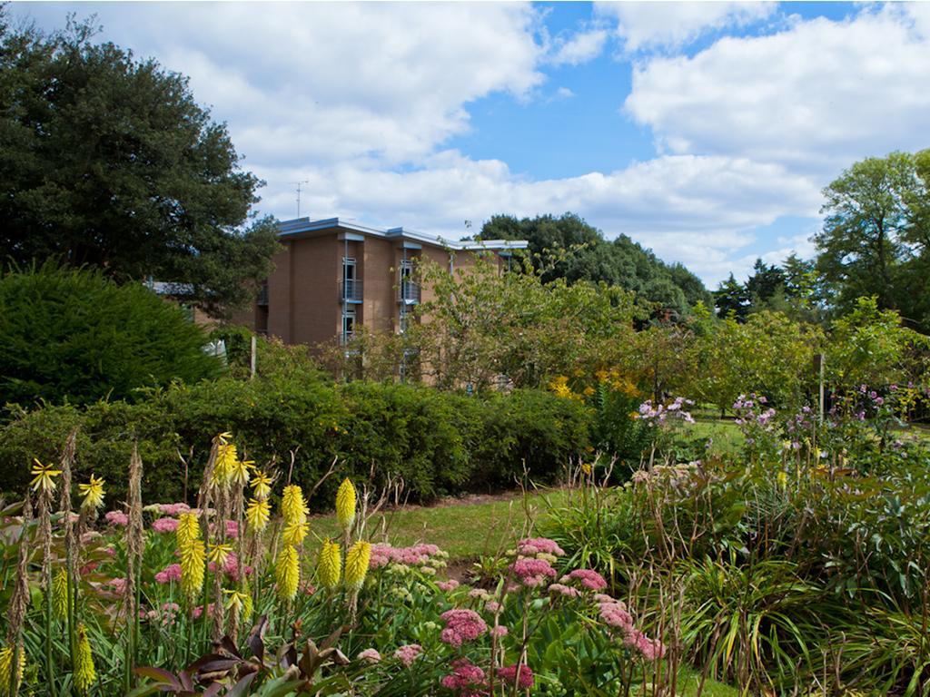 University Of Exeter - Pennsylvania Court Zewnętrze zdjęcie